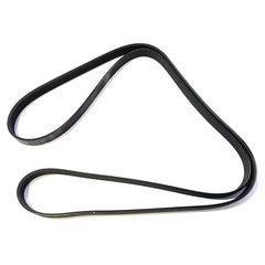 Alternator Belt	243857