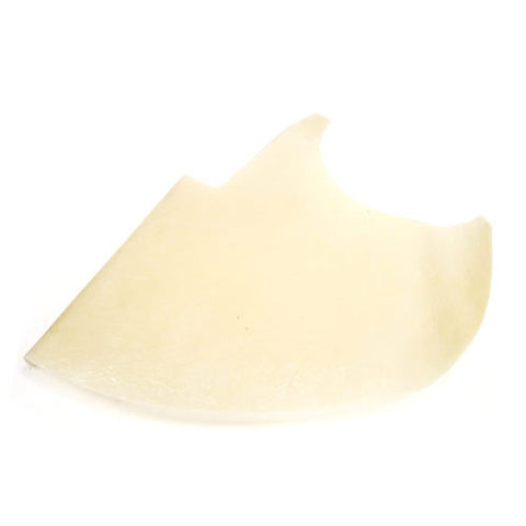 Front Inner Wing Front Section LHS	24603095/A