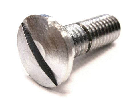 Engine and Bonnet Stay Mounting Screw	24604271