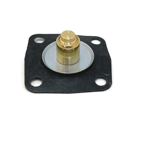 Pump Diaphragm	24609005
