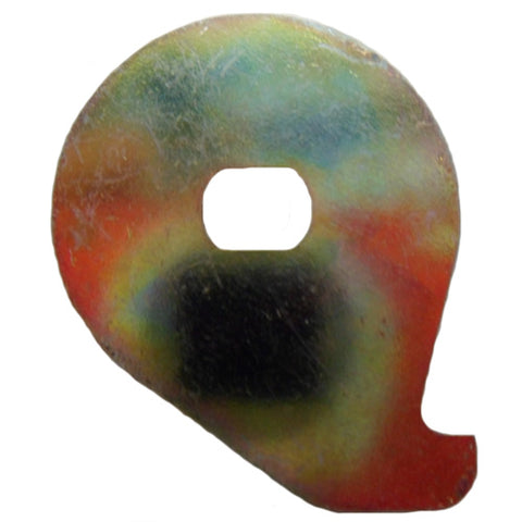 Carburettor Spindle Washer (Snail Cam)	24609165