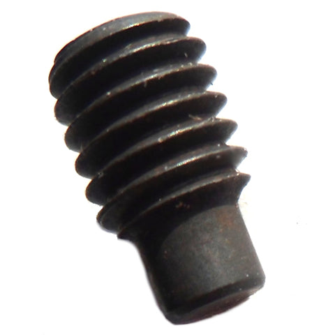 Water Pump Bearing Retaining Grub Screw	24610250