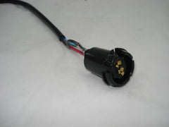 Rear Stop/Tail Light Wiring 246	24619150