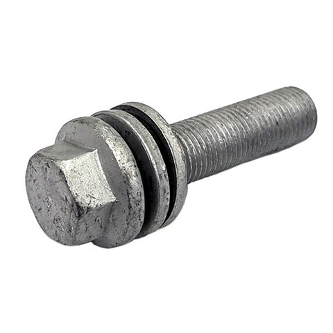 Stop Cap Bolt	248790