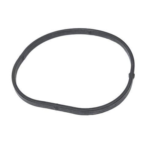 Inlet Manifold Gasket	263799