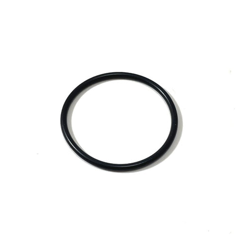 Fuel Pump O Ring	291377