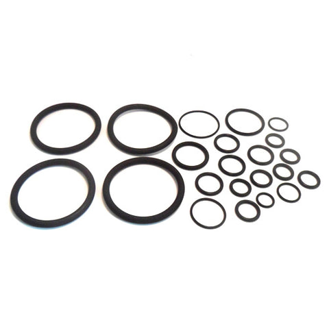 Full Engine O RIng Set	30816175