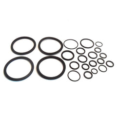 Full Engine O RIng Set	30816175