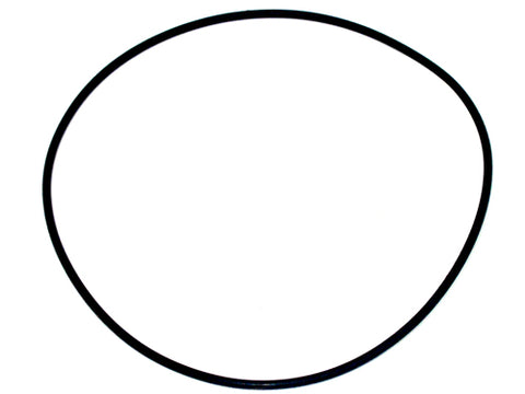 Liner O ring (each)	110021