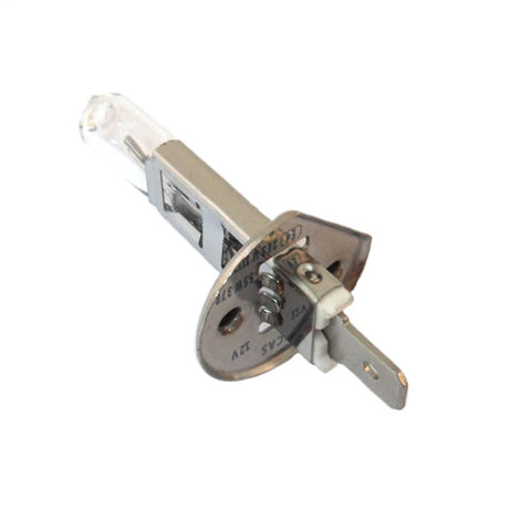 Headlight Bulb	30819185