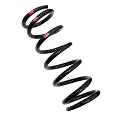 Front Suspension Spring	312989
