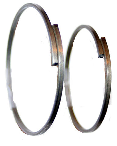 Caliper Circlip	24606085