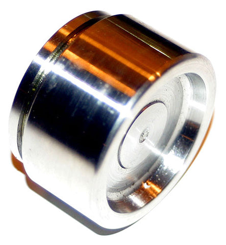 Front Caliper Piston, each	24606050