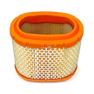 Air Filter	382400303/A