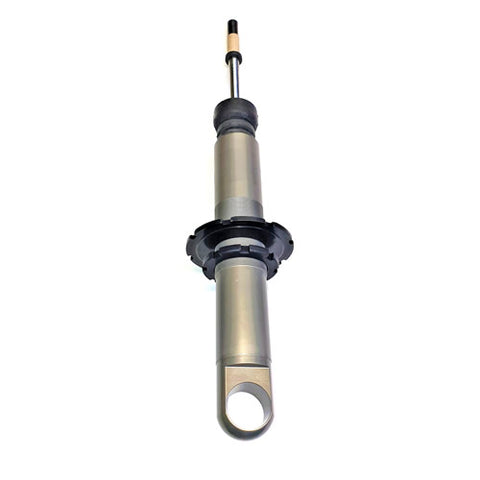 Rear Shock Absorber	387001010