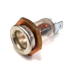 Dashboard Inspection Lamp Plug	40179301