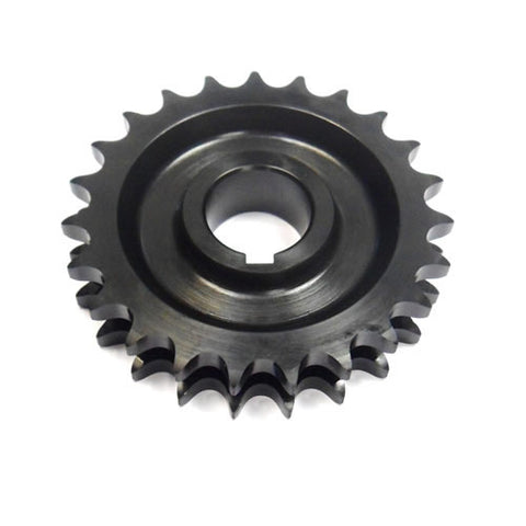 Cam Chain Sprocket	4181155