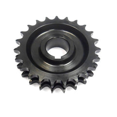 Cam Chain Sprocket	4181155