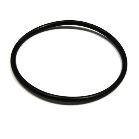 Cam Chain Support 'O' Ring	4182709