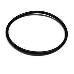 Cam Chain Support 'O' Ring	4182709