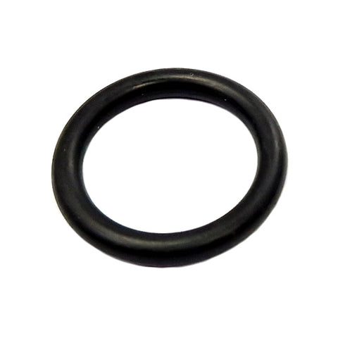 Timing Control 'O' Ring	4195786