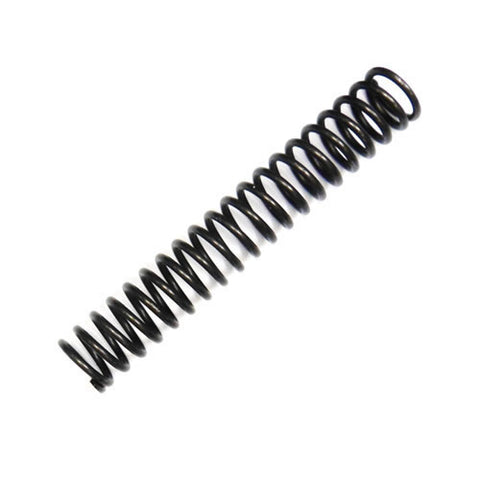 Chain Tensioner Spring	4220865
