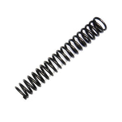 Chain Tensioner Spring	4220865