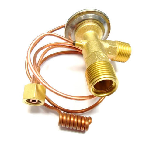 Expansion Valve	61742600