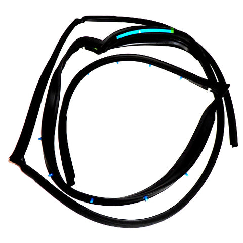 Rear Door Gasket	67476700