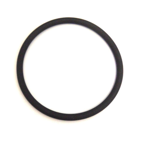 Water Pump O Ring	95860022