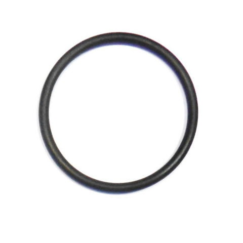 Speedo Drive O Ring	95860045