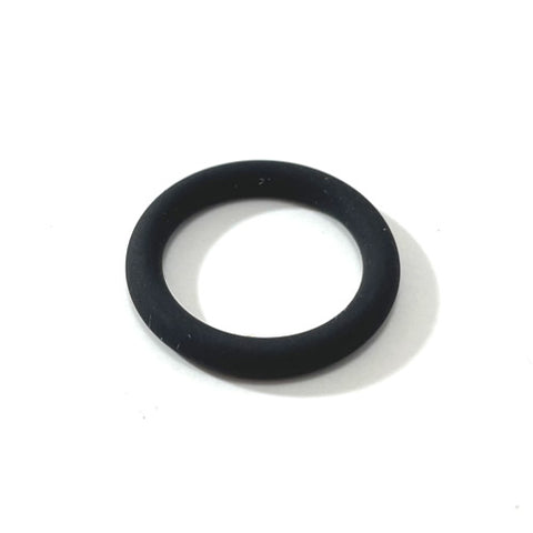 O'Ring	95860062