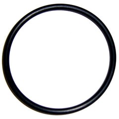 RH Front End Plate 'O' Ring	95860076