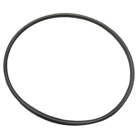 Rear Bearing Carrier 'O' Ring	95860086