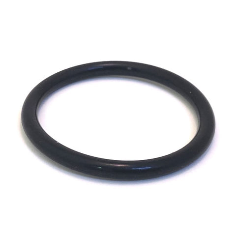 Manifold O'Ring	95860105