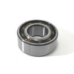 Main Shaft Bearing	95890303