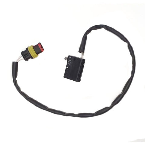 Window Glass Lift Microswitch	980001800
