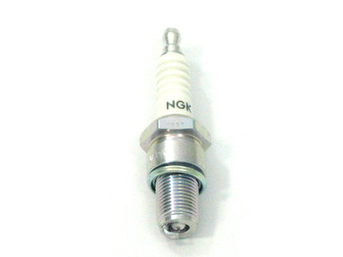 Spark Plug	BR10EIX