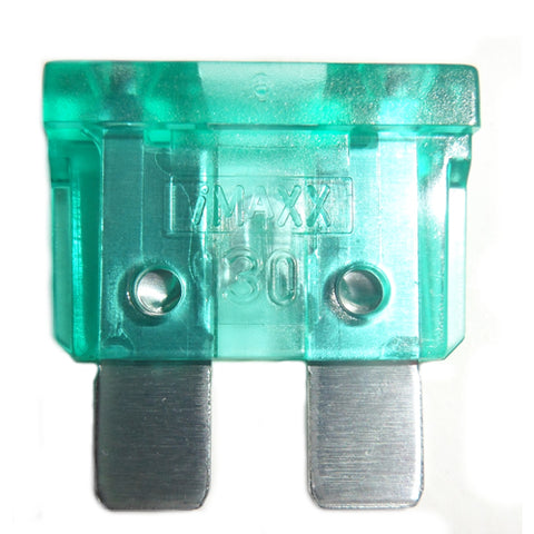 30 Amp Fuse	30 Amp Fuse (328: All)