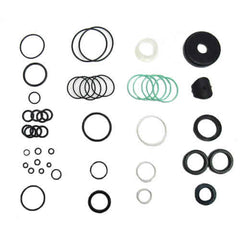 PAS Rack Seal Kit	V1207030