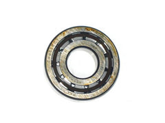 Main Shaft Rear Bearing	FIA12035