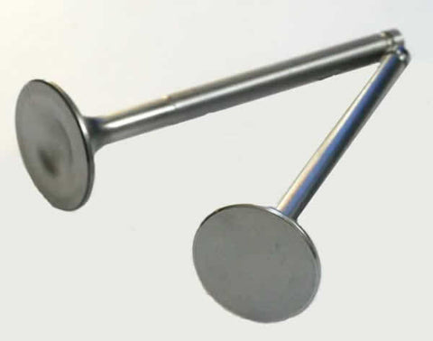 Exhaust Valve