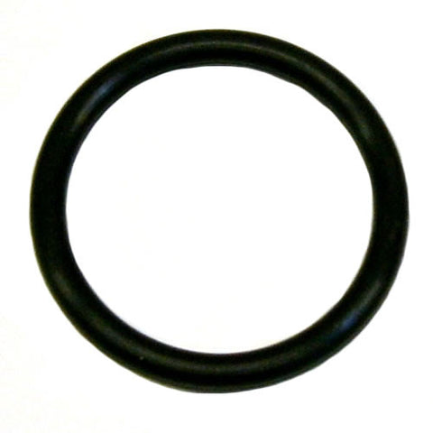 'O' Ring 101027