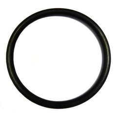 Flywheel O'Ring
