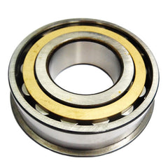 Rear Main Shaft Bearing