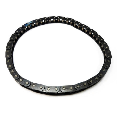Oil Pump Chain 133089