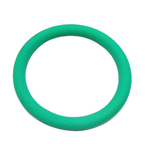 Oil Delivery Pump O Ring