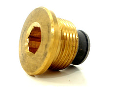 Engine Sump Drain Plug