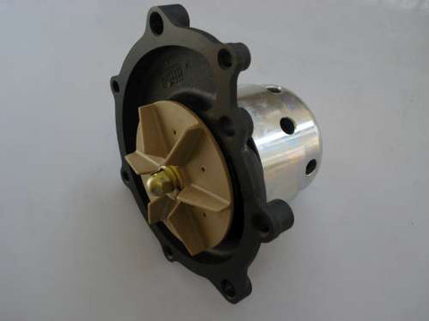 Water Pump 34810002