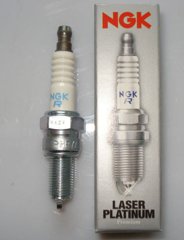 Spark Plug               NGK